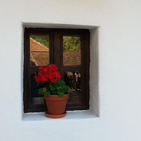 Zempléni Pitvaros Pihenő Telkibánya Extérieur photo