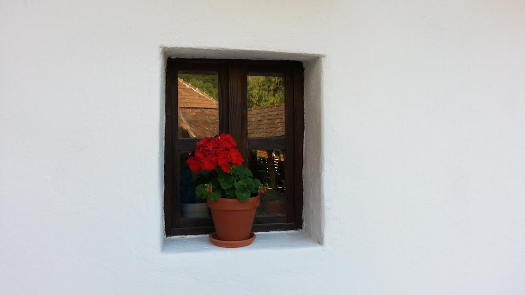 Zempléni Pitvaros Pihenő Telkibánya Extérieur photo