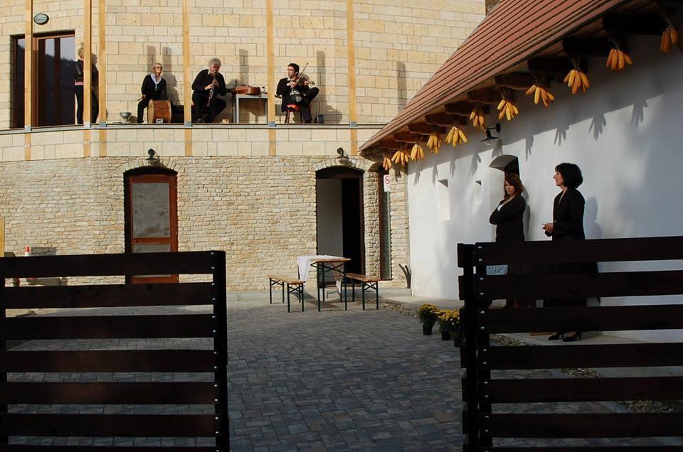 Zempléni Pitvaros Pihenő Telkibánya Extérieur photo